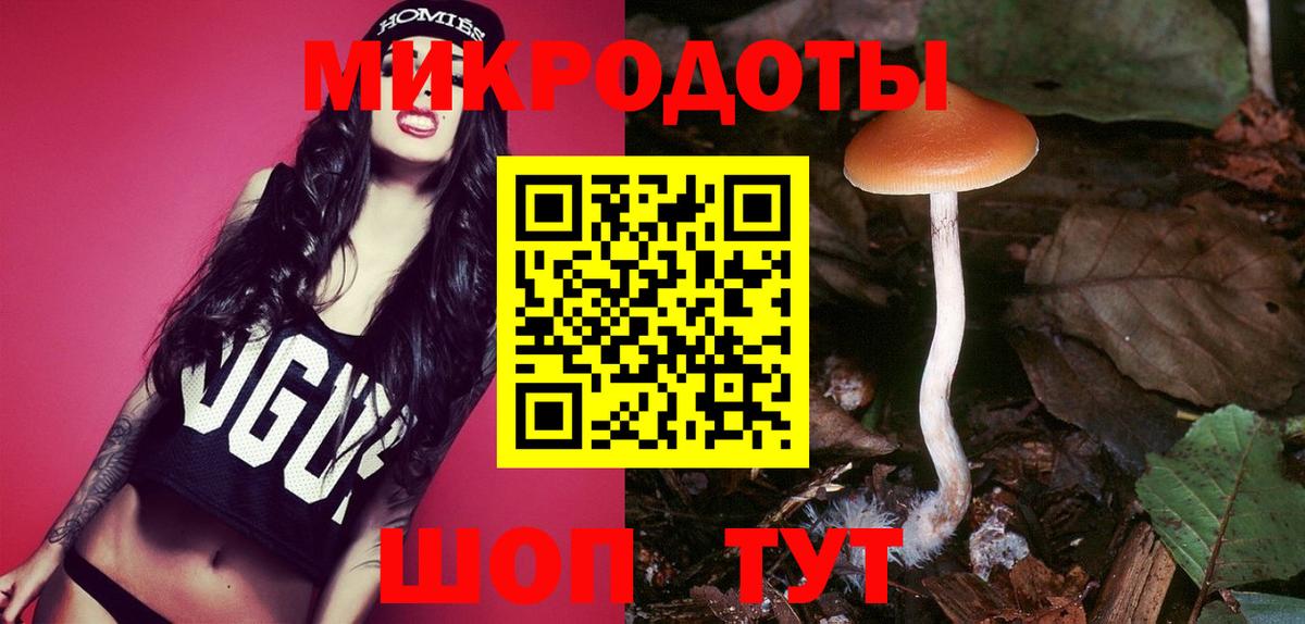 Псилоцибиновые грибы Psilocybine cubensis Губкин